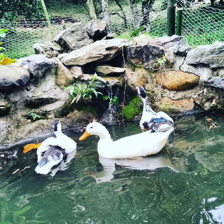 מלון לה וגה Duck House מראה חיצוני תמונה
